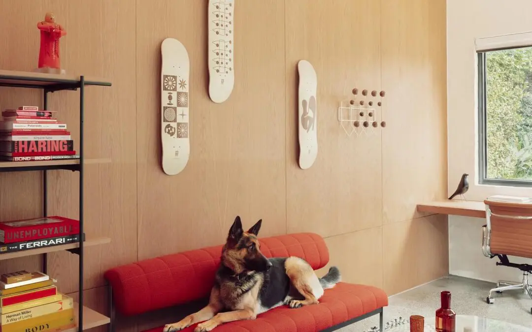 Az Eames Office és a Globe közös projektje: limitált kiadású gördeszkák az ikonikus Eames művekből inspirálódva.